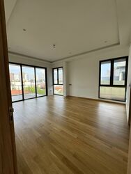 Palm Drive (D15), Semi-Detached #464145851